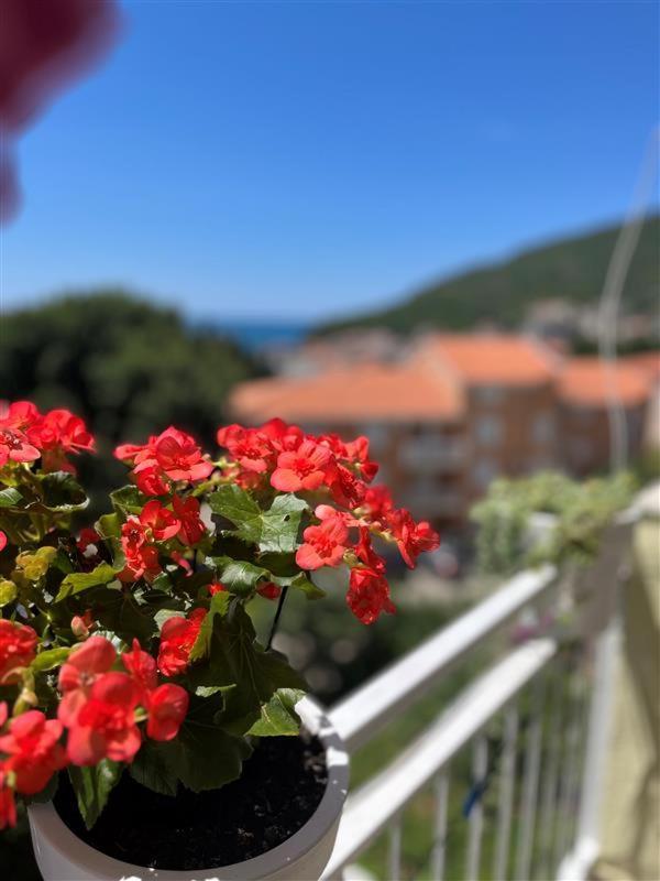 Apartmani Neda Bane Petrovac Exterior photo