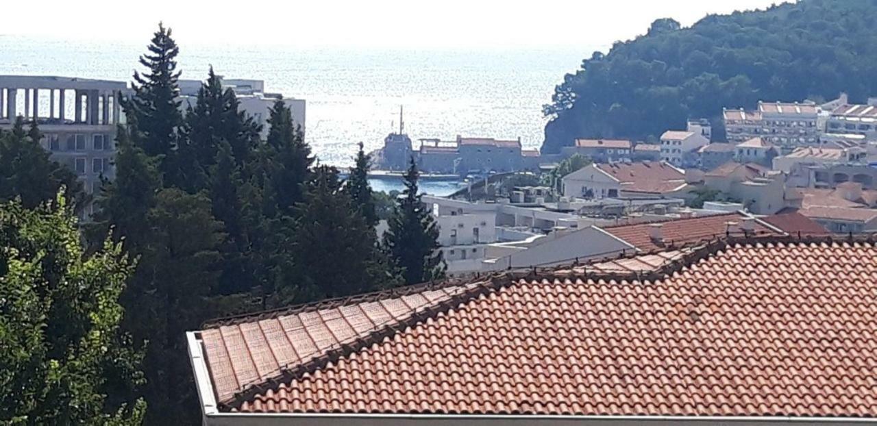 Apartmani Neda Bane Petrovac Exterior photo